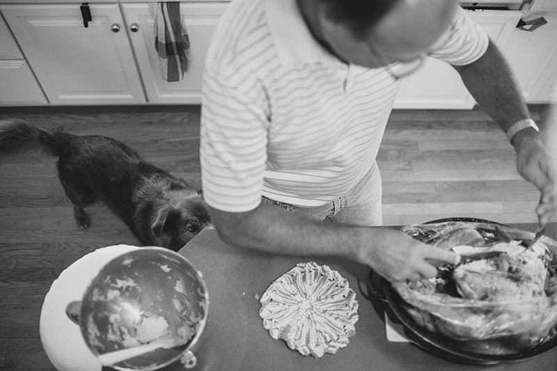 dog begging for food thanksgiving