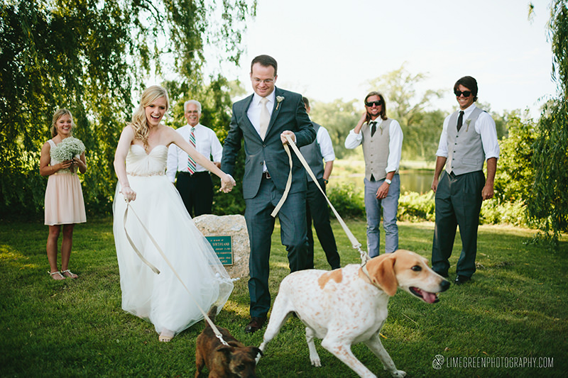 northern michigan wedding with dogs
