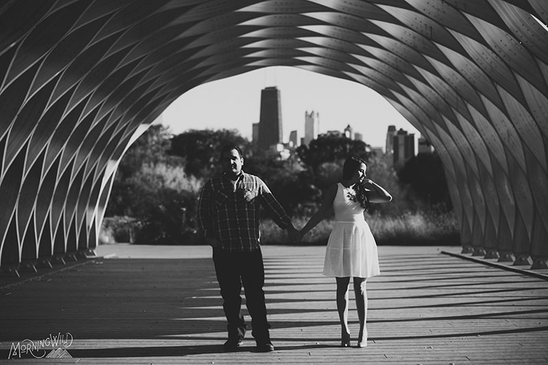 engagement photos lincoln park chicago