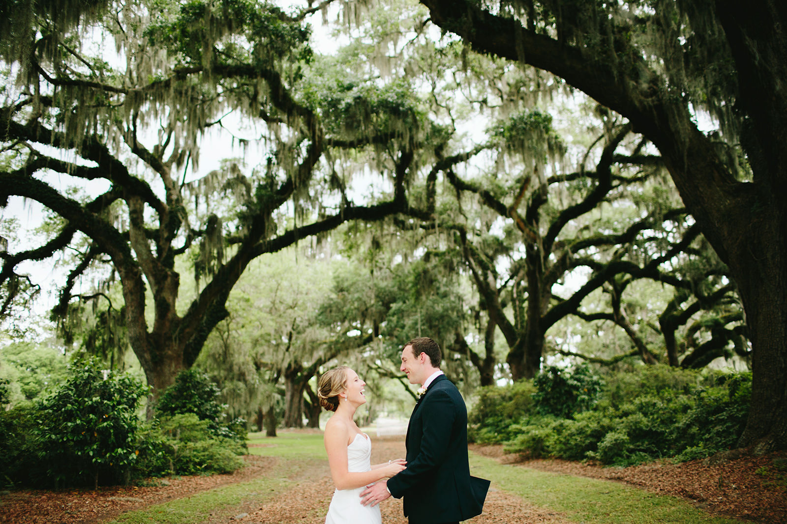 cypress trees plantation wedding