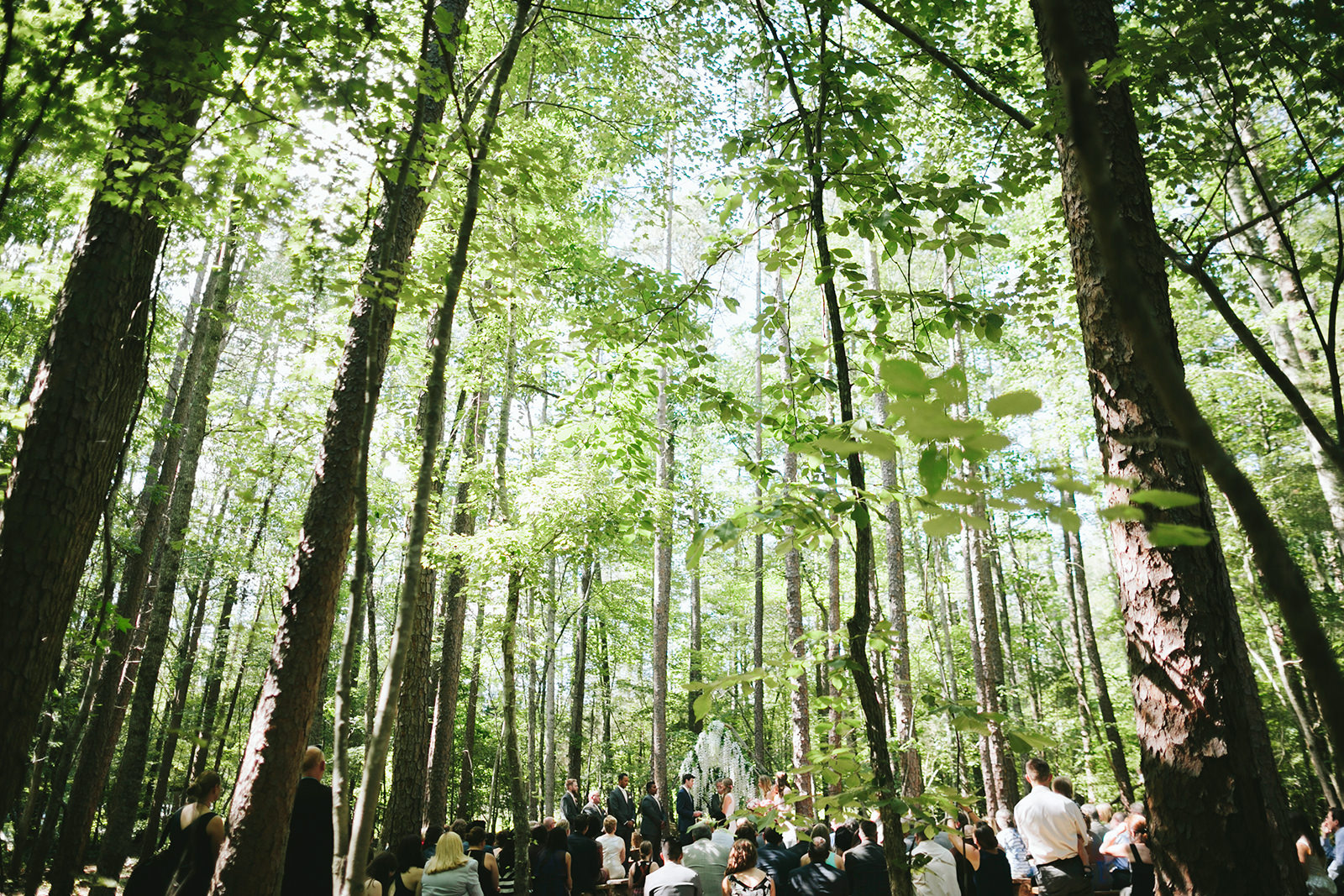 woodland timberlake earth sanctuary wedding
