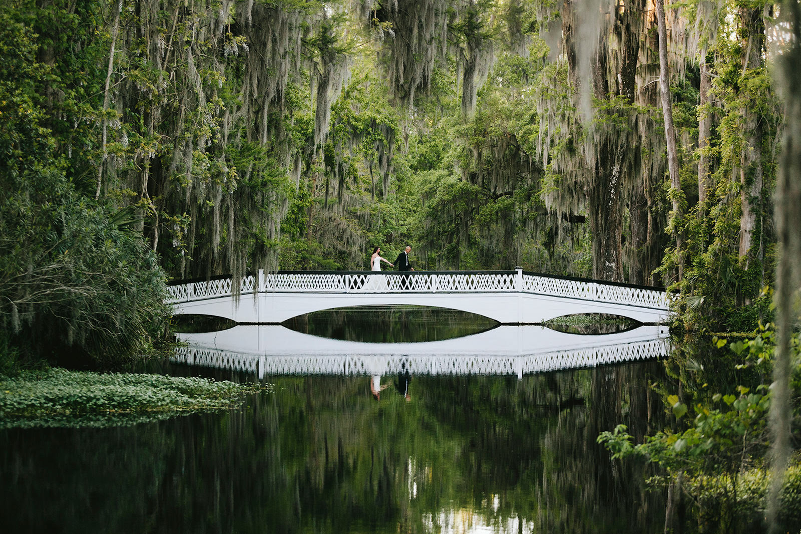 magnolia plantation bridge