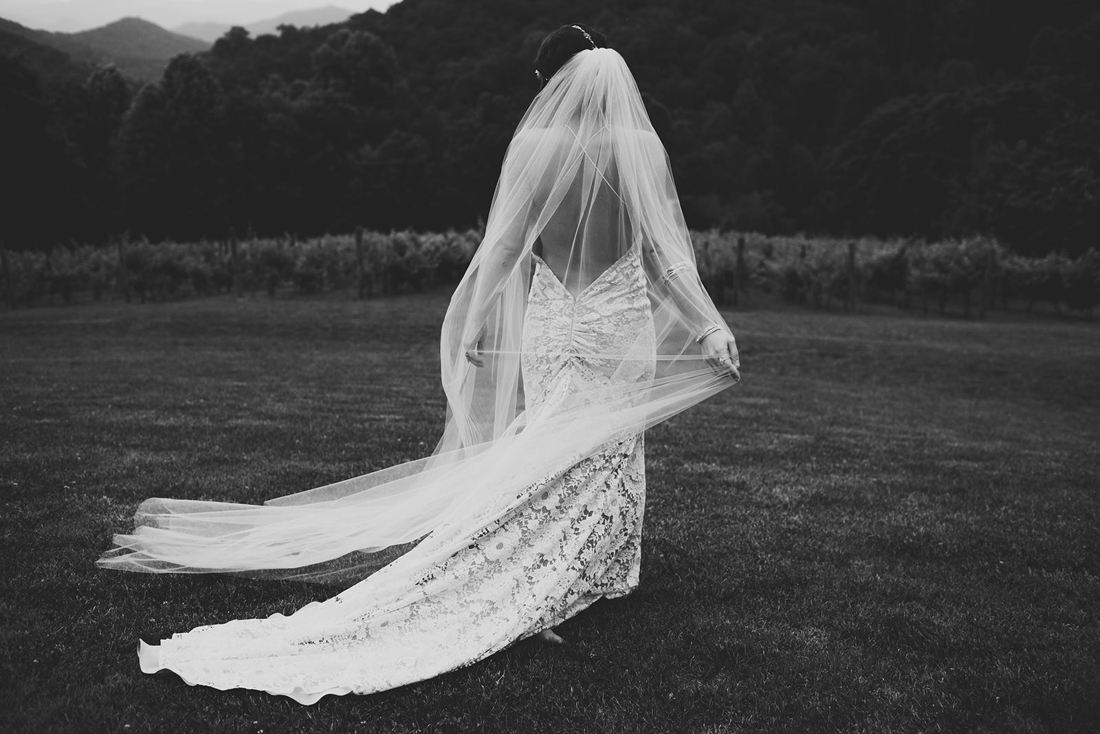 elizabeth fillmore wedding dress
