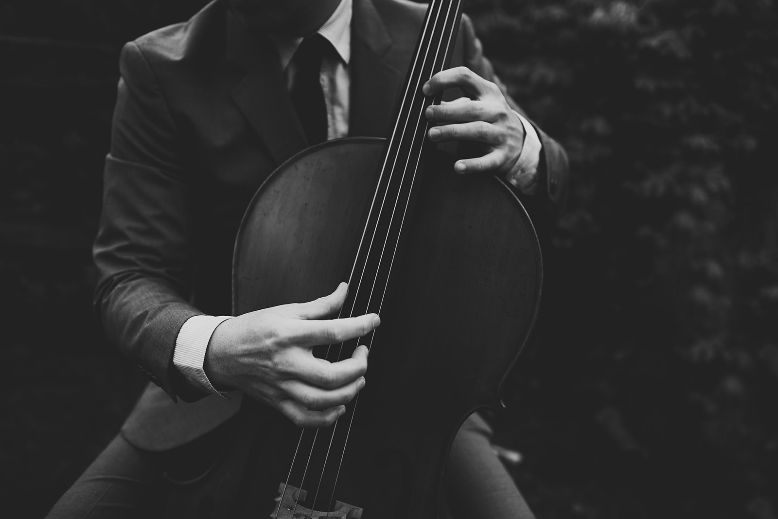 cello detail photo
