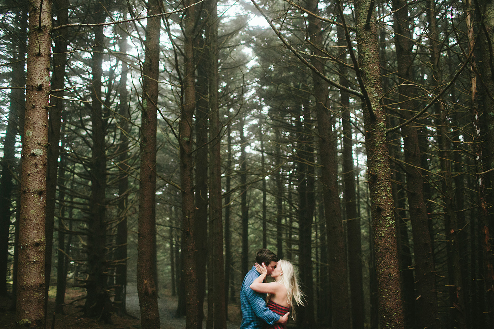 elopements at roan mountain