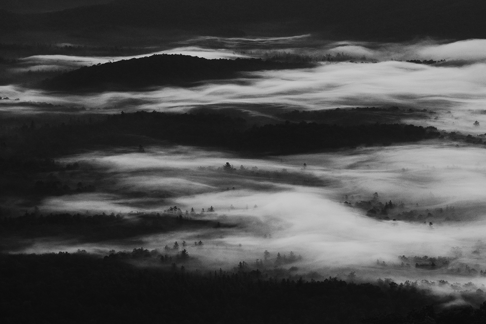 morningwild-blue-ridge-parkway-fog