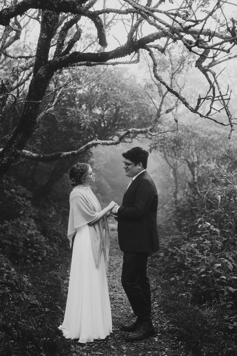 craggy gardens elopement