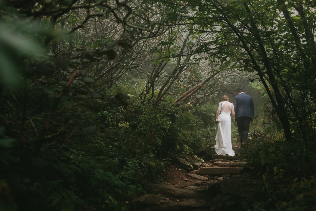 craggy gardens wedding