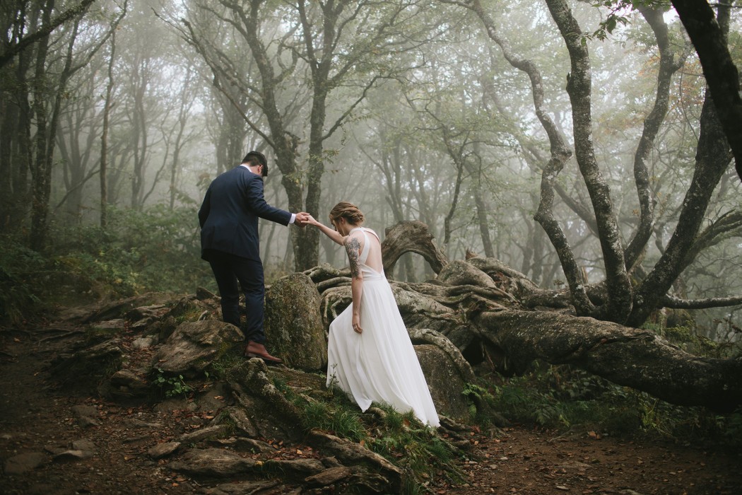 morningwild photography