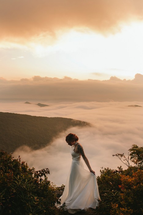 morningwild photography