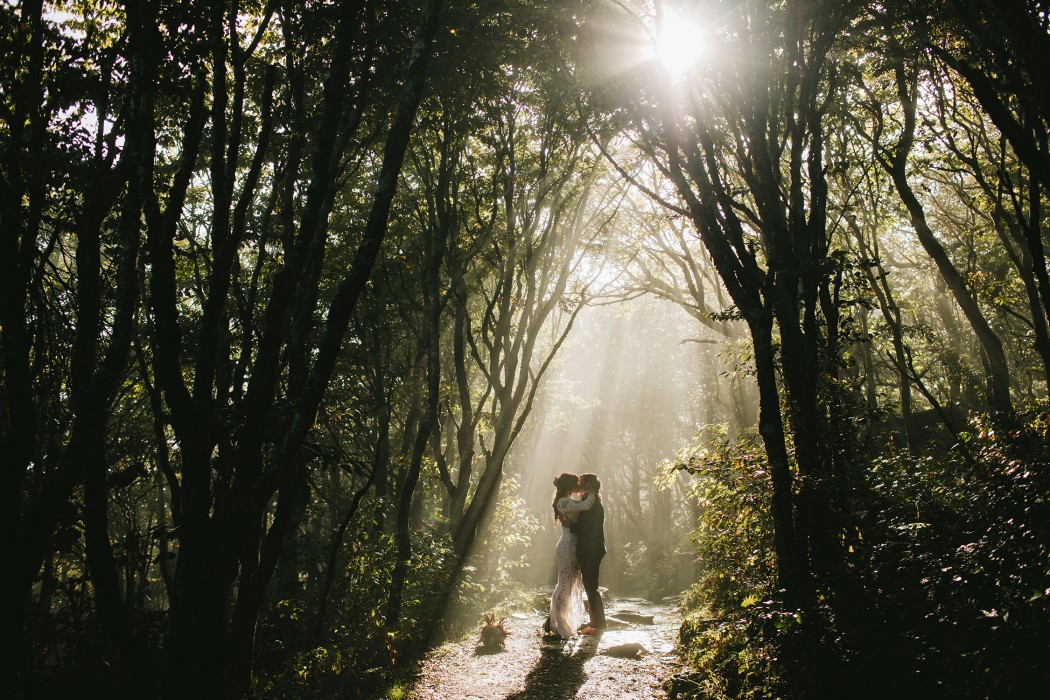 morningwild photography