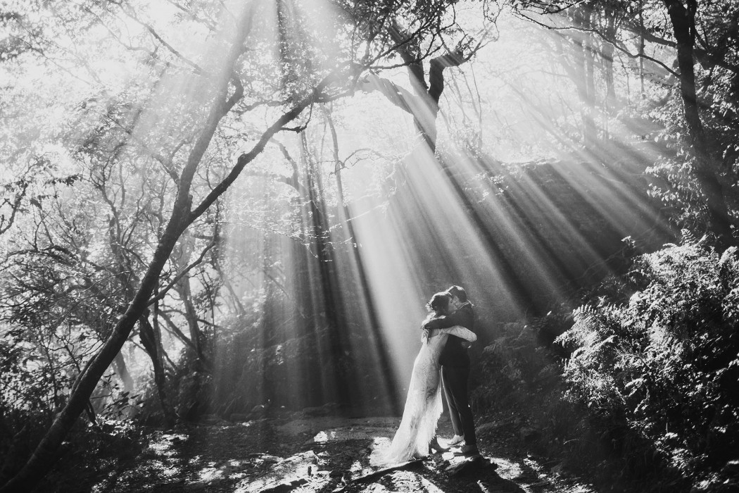 morningwild photography