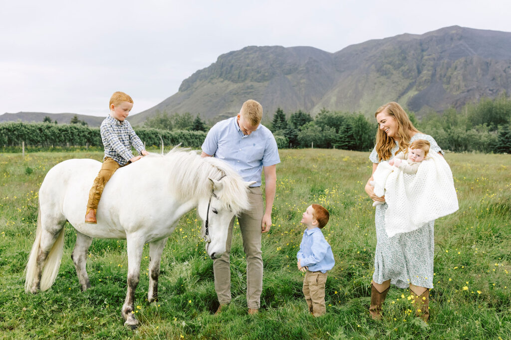 Iceland family photos on a home farm