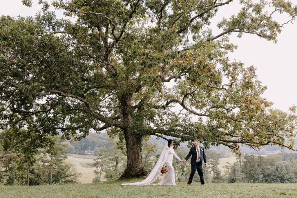 elopement at the inn at biltmore