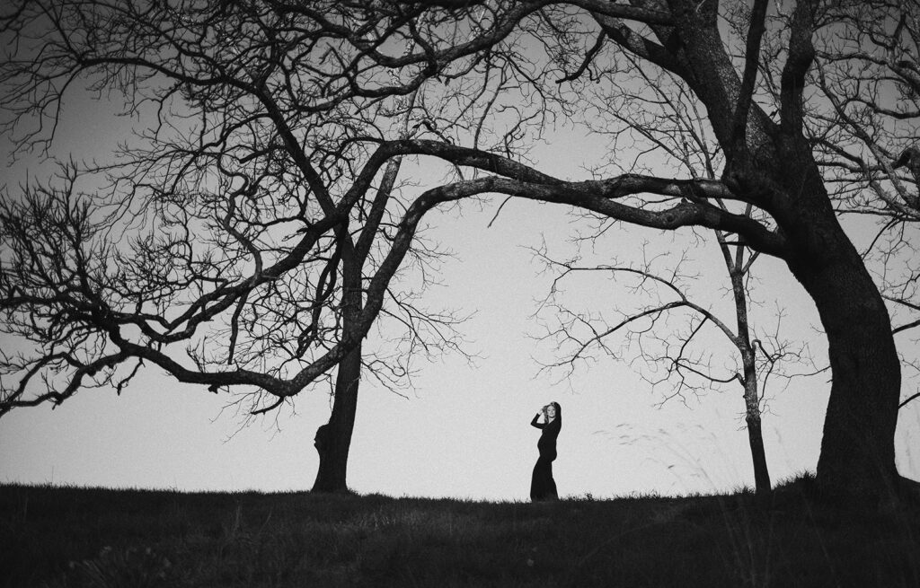 morning wild photography maternity