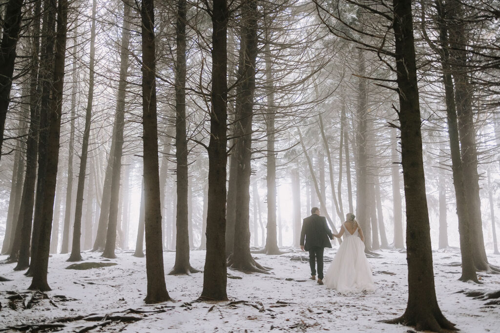 winter-elopement-blue-ridge-parkway-04