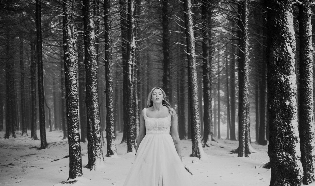 snowy elopement blue ridge parkway